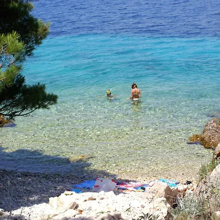 Apartman Bilo 14601d Primošten