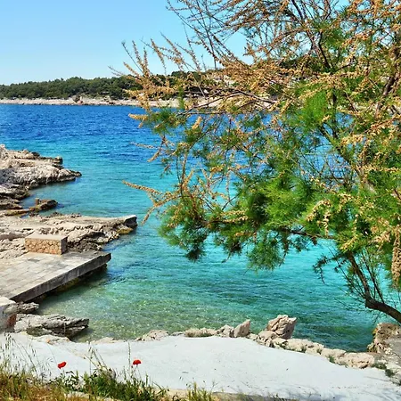 Bilo 14601d Apartman