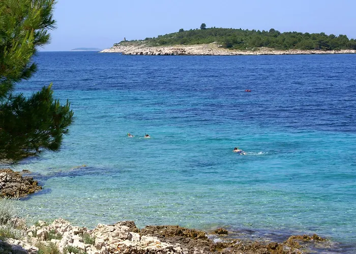 Bilo 14601d * Primošten