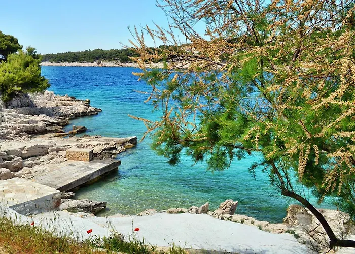 Bilo 14601d Apartman